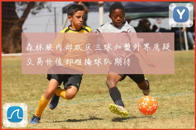 森林狼内部欢庆三球加盟外界质疑交易价值却难掩球队期待