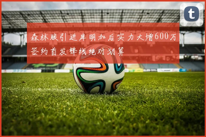 森林狼引进库明加后实力大增600万签约首发锋线绝对划算